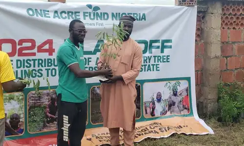 From trees to harvest: how one GIF grantee is increasing climate resilience in Nigeria Image