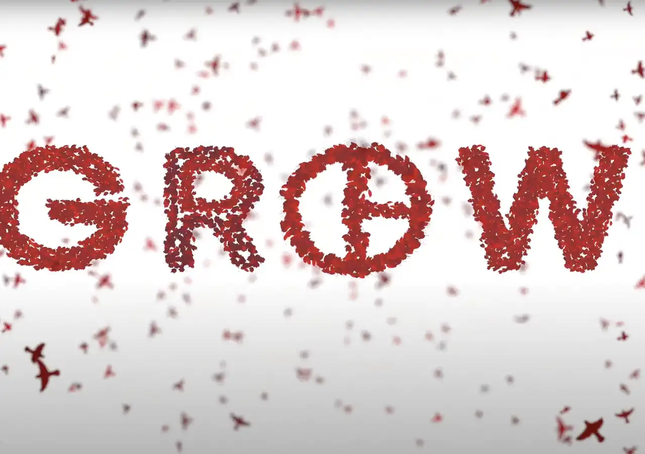 Screenshot 2024 03 15 at 16 14 49